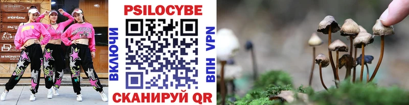 ОМГ ОМГ онион  Долинск  Галлюциногенные грибы Psilocybine cubensis 
